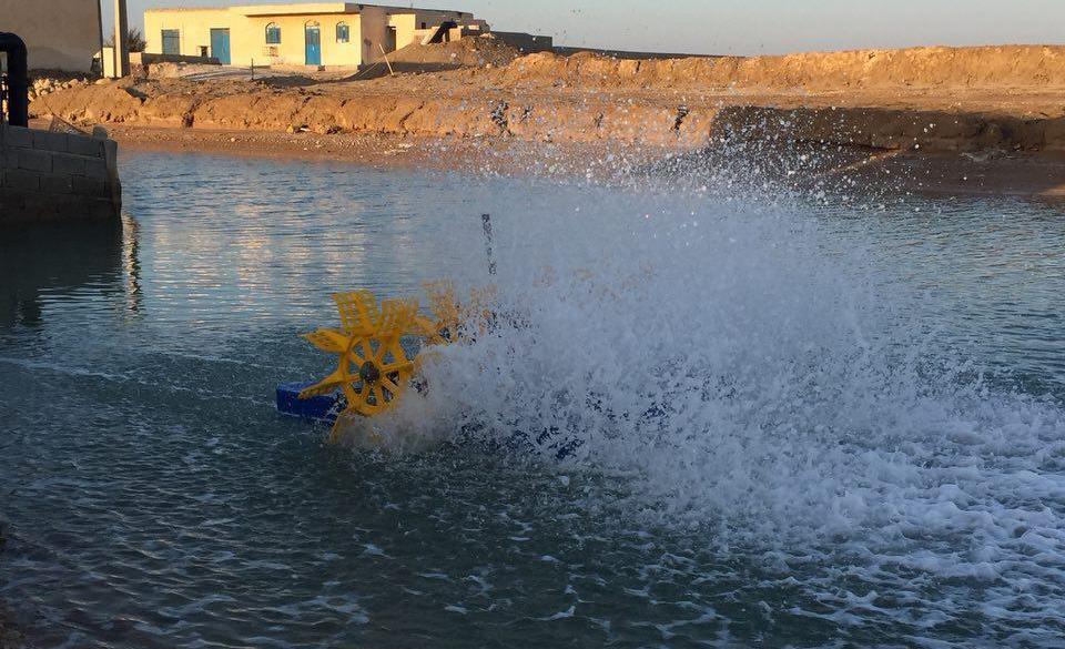 هواده پدل ویل