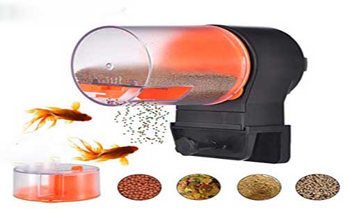 فروش غذا ریز اتوماتیک ماهی